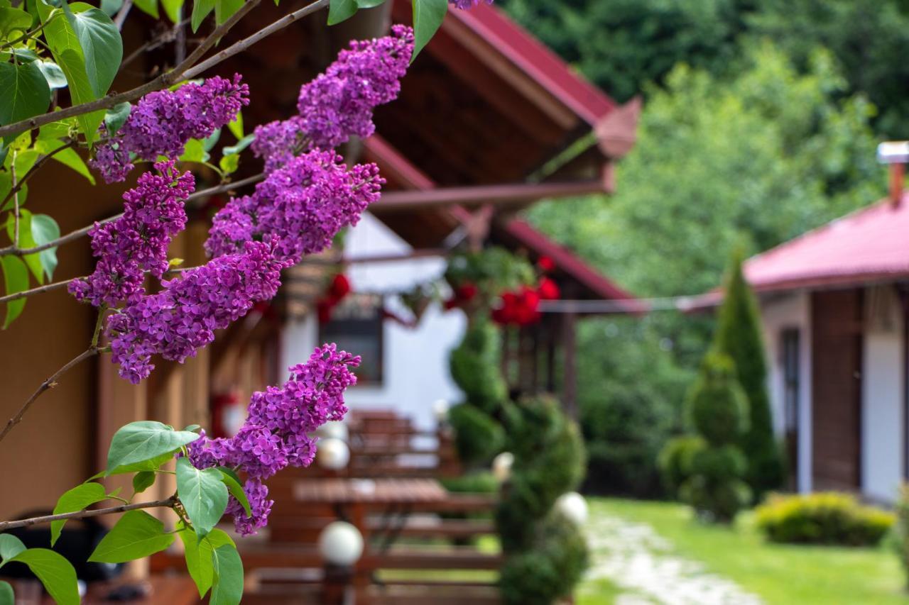 Patakmenti Panzio Spa Corund  Exterior foto